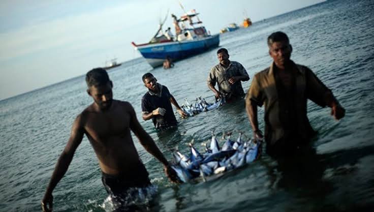 भारतीय मछुआरों की हत्या का मामला राज्यसभा में उठाया गया