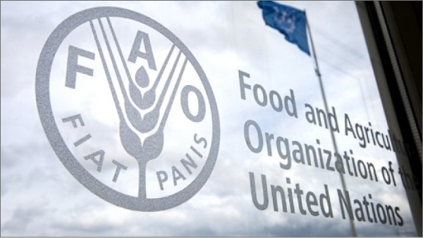 संयुक्‍त राष्‍ट्र के खाद्य और कृषि संगठन ने कहा-रूस-यूक्रेन युद्ध से गरीब देशों में खाद्यान्‍न का आयात प्रभावित होगा
