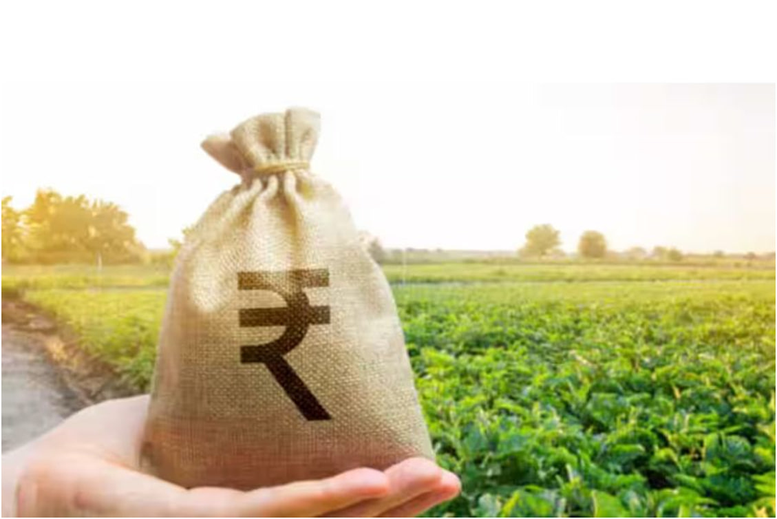 सरकार 'स्टार्ट-अप और ग्रामीण उद्यमों के लिए कृषि कोष' लॉन्च करेगी :-